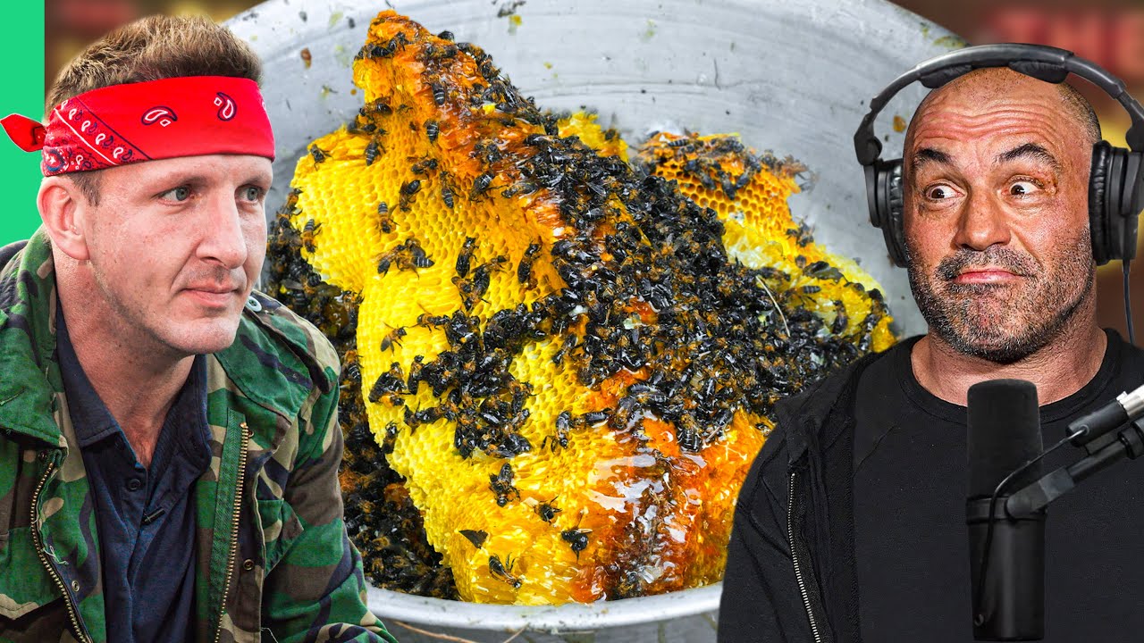 Mad honey honeycomb covered with bees, shown alongside two podcast hosts in a studio during a discussion about mad honey.