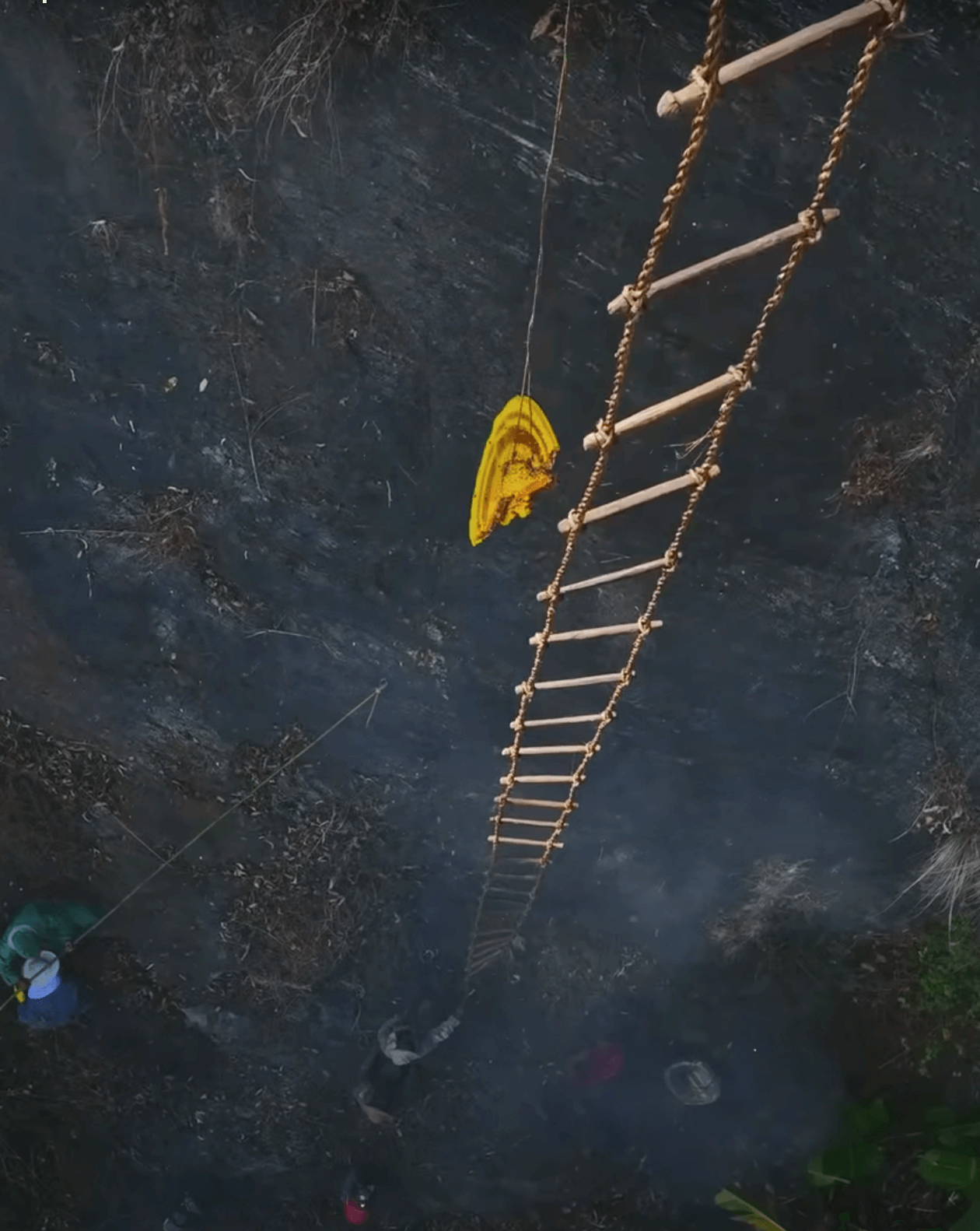 Home made rope and bamboo ladder in honey hunting